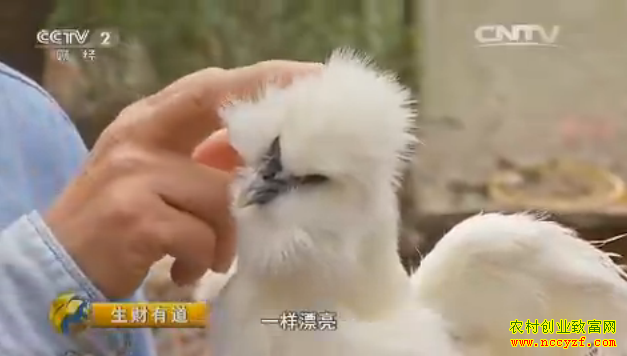 [�����е�]��̬��ɽ���������ʿ���軪