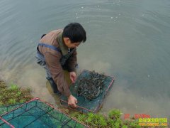 [�Ƽ�Է]������С��Ϻ����������Ƶ