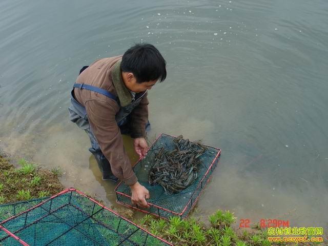 ��������ֳС��Ϻ�����