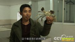 [�¸���]�㽭����������ǧ��Ƹ��ӷ����з�ġ�������