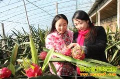 ����������ֲ�����������