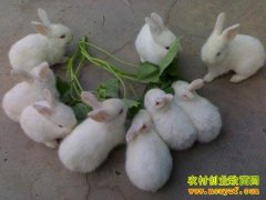 ����ר�ҽ��������没���Σ�����Ϊ�����û�����