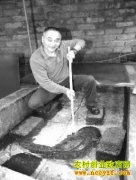 �����������������̬��������ֳ�¸���