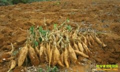 ����2��Ԫ��н �����ޱ����ָ���¸�