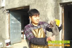 �㽭���ų��ƽ���ֳ����ҵ�¸�