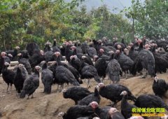 ũ��׬Ǯ��·��������س��������𼦴�ҵ׬��Ǯ