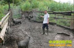 �����ӳ�Τ������Ұ�� �����ͷ������