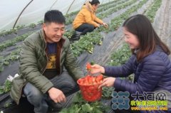 ƽ��ɽ����ݮ��������־ǿ�ֲ�ݮ�¸���С��