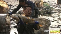 [�¸���]����׬Ǯ������������ΰ������ֳ�¸���