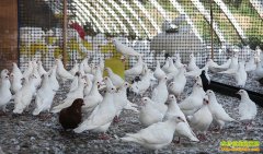 [ÿ��ũ��]�����Ӷ�׬Ǯ������