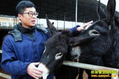 ������ԭ������¿�������׹�ͬ�¸�