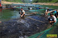 ɽ����Դ���췼���÷���ˮ�������¸�