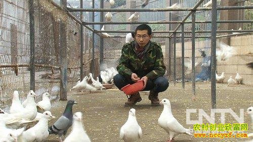 ɽ����Ұ�����������ǵ������¸���