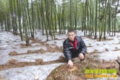 �Ĵ����������������������ݥ�¸�