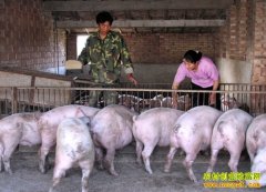 ����ƽ������С������ֳ�����������¸�·