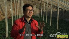 [�¸���]����ֲ�ݮ��׬���򣺴�ҵ�Ұ������������֮��