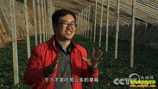 [�¸���]����ֲ�ݮ��׬���򣺴�ҵ�Ұ������������֮��