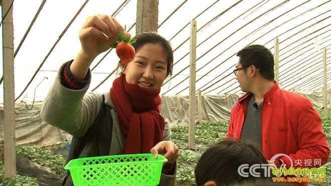 [�¸���]����ֲ�ݮ��׬���򣺴�ҵ�Ұ������������֮��