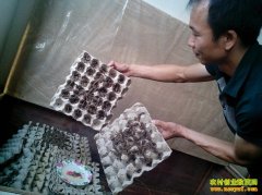 �㶫�����ء�Ы���������ǻ���Ы���¸�