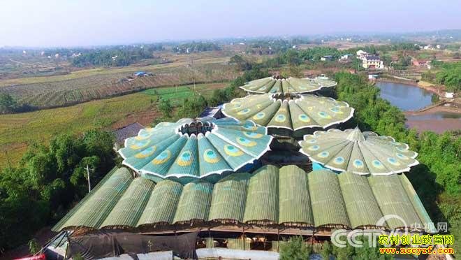 [�¸���]�Ĵ��㰲����ǿ��ȸ¥������