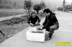 ����ɢ��ھ��ܳ�������������ũ���¸�·