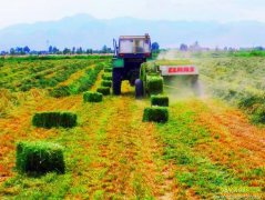 ���ջ����ر��Ϊ����������