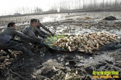 �Ĵ��ϳ���������ط�������ź�������׹��¸�