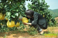 [�Ƽ�Է]���ִӻ��������