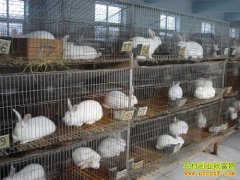 ������̡��׬Ǯ�ࣺ��ҵ������β����������Ǯ׬