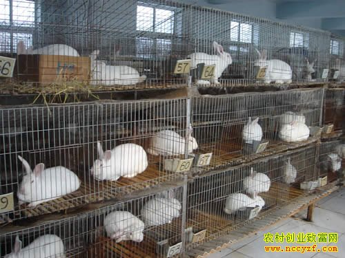 ������̡��׬Ǯ�ࣺ��ҵ������β����������Ǯ׬