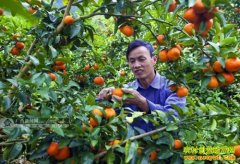 ����������ˮ������Ф����ɽ���ֳ��¸���