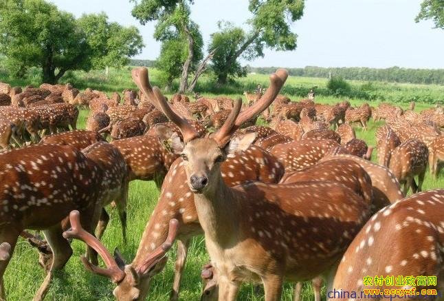 �������������ܵ�÷��¹��ֳ�¸���