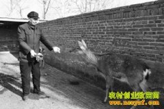 ɽ��Ϋ��7Ѯ������������¹��Ǯ������Ȥ