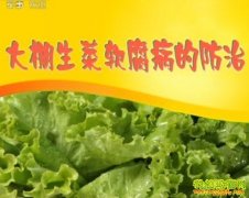 [ũ�����]�����������������μ�����Ƶ