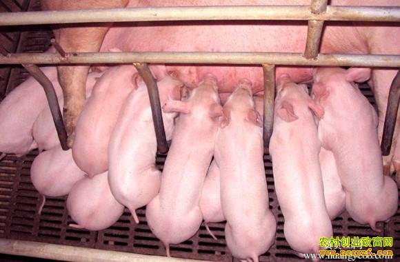 ������������������ô���£�