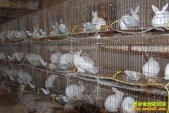 ���ϻ������ý㡱������̡����ֳ��ҵ·