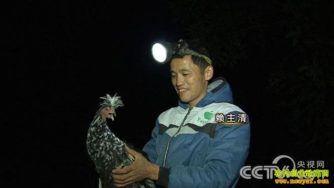 致富经:放弃一夜暴富的念想之后 1月18日