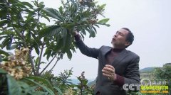 [��ɫʱ��]�ɾ����������ַ��������Խ��