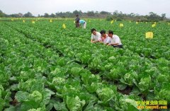 �ӱ�����90��Ů���������߲���ֲ��ҵ��