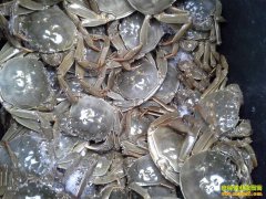 [�Ƽ�Է]�³������з����������