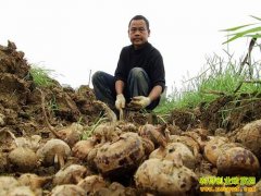 [�۽���ũ]��������ƽ����������������¸���