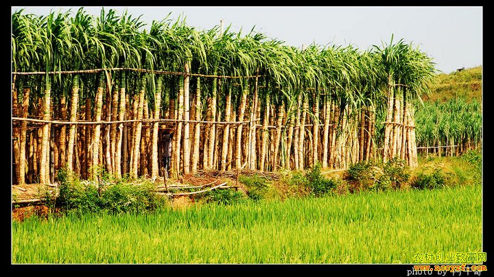 [�۽���ũ]�������ǧĶ���������������