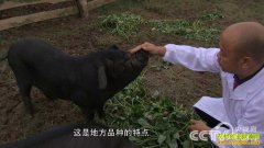 [�¸���]�Ĵ��ڽ�������ֳ���˶��ĺ�����׬Ǯ