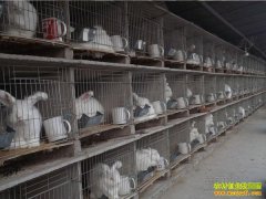 [�Ƽ�Է]��ͬ������ҵ��