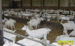 ���Ϸ��������������ݺ����Է����������