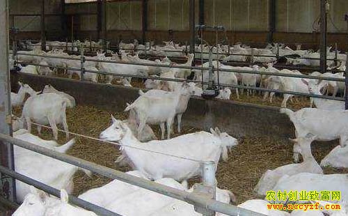 ���Ϸ��������������ݺ����Է����������