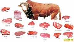 [ũ�����]��ţ�ľ�ϸ�ָ����Ƶ