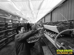 ��������ΰ���������ɡ����ްԡ���ҵ