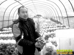 �����ϴ��µ���������ֲƽ���¸�