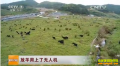 [�Ƽ�Է]����������������˻�